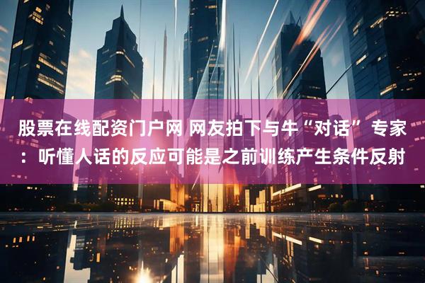 股票在线配资门户网 网友拍下与牛“对话” 专家：听懂人话的反应可能是之前训练产生条件反射