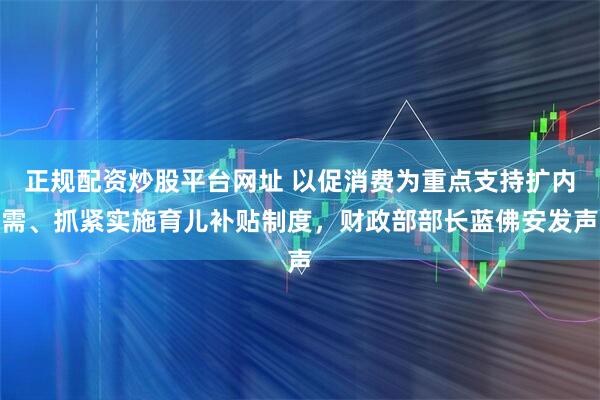 正规配资炒股平台网址 以促消费为重点支持扩内需、抓紧实施育儿补贴制度,财政部部长蓝佛安发声