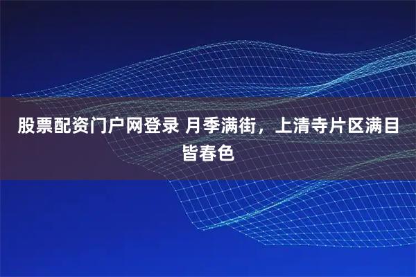 股票配资门户网登录 月季满街，上清寺片区满目皆春色